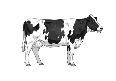 Imagen PNG para descargar